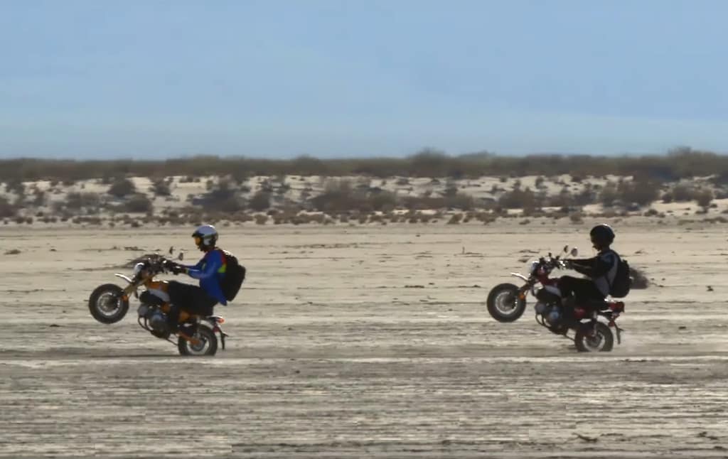 Wheelies on the Honda Monkey