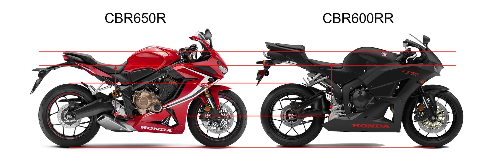 Comparing riding position of Honda CBR650R and Honda CBR600RR