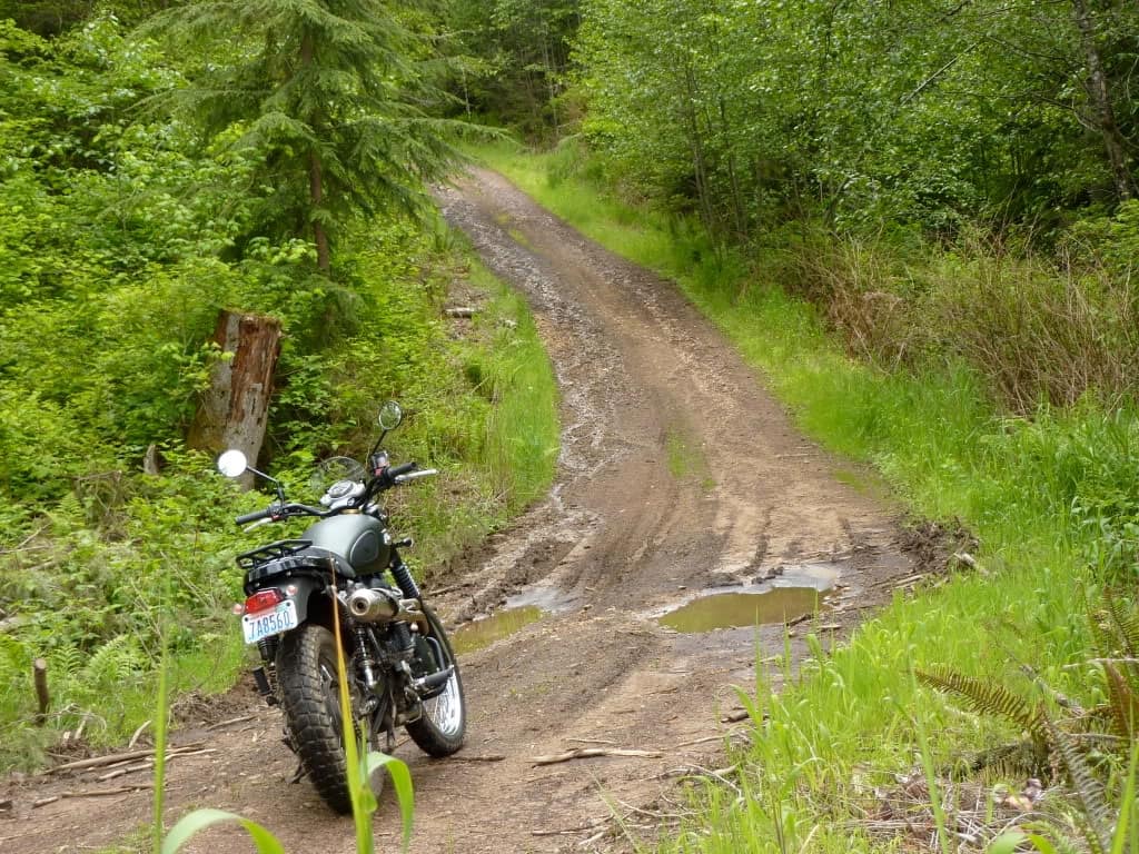 Triumph Scramblers can handle dirt roads and mild off-roading