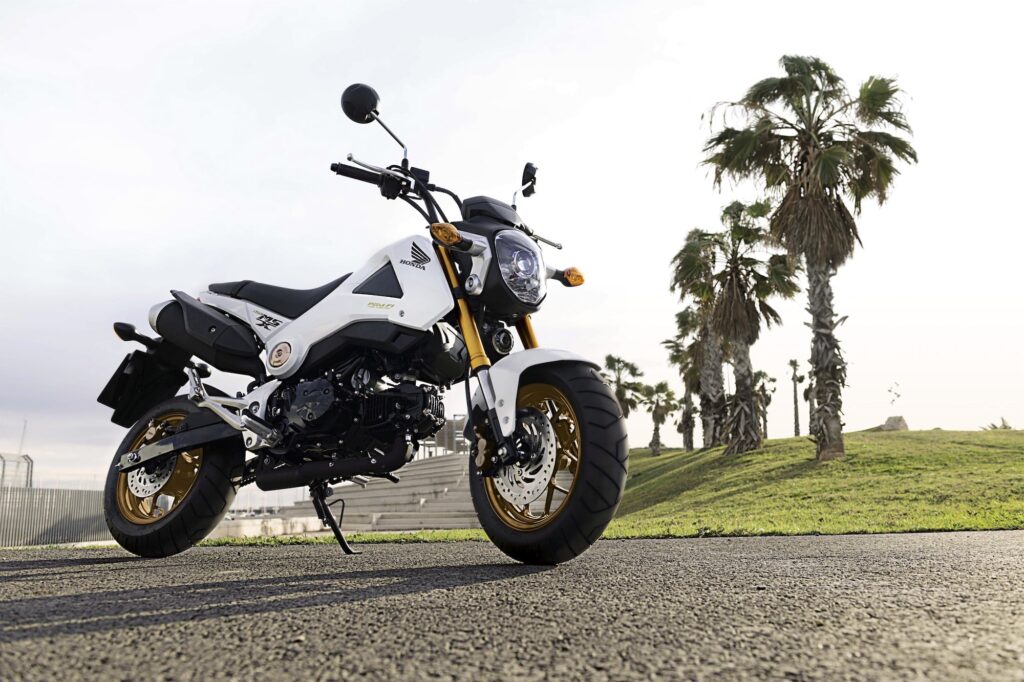 2014 Honda Grom MSX125 outdoor static with palm trees