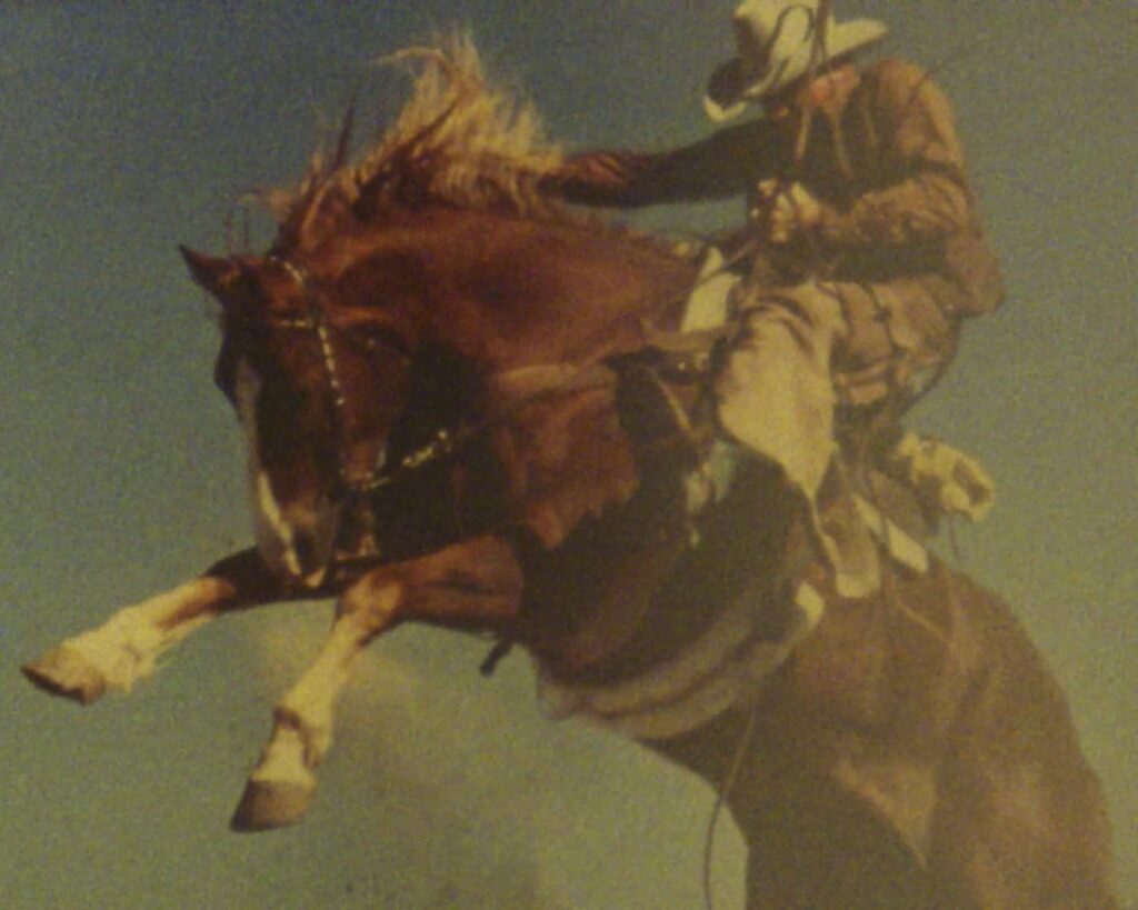 Ed forbis marlboro man horse