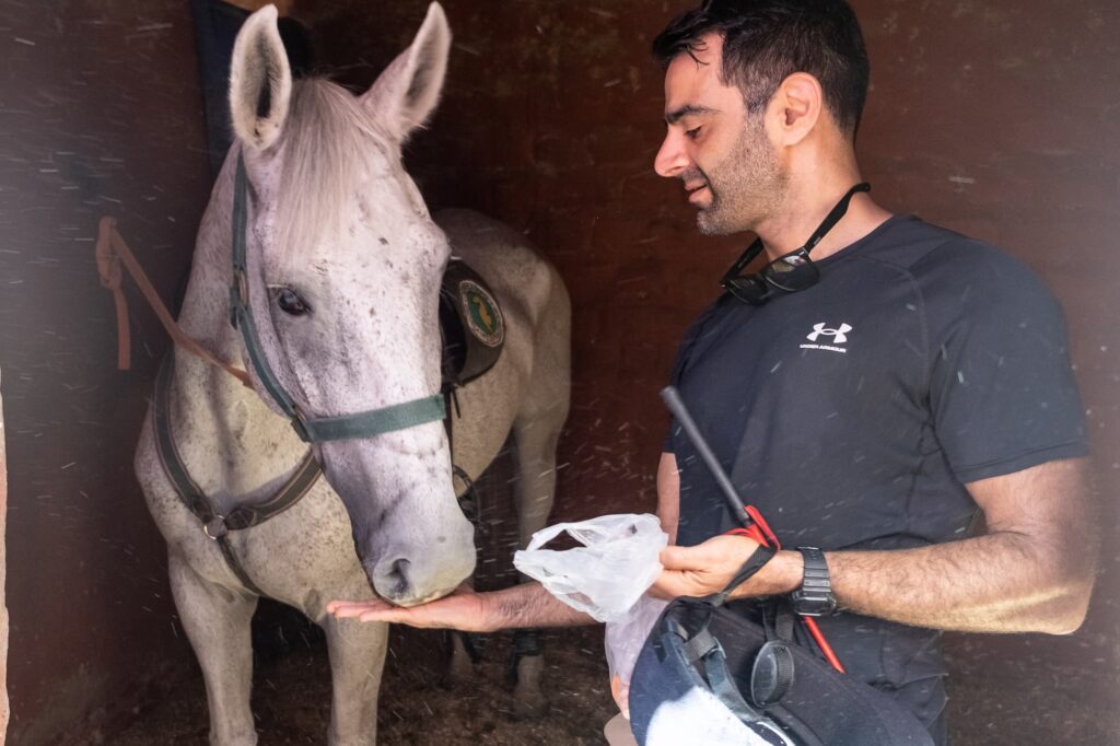 Horse Review Capitan and Dana Feeding