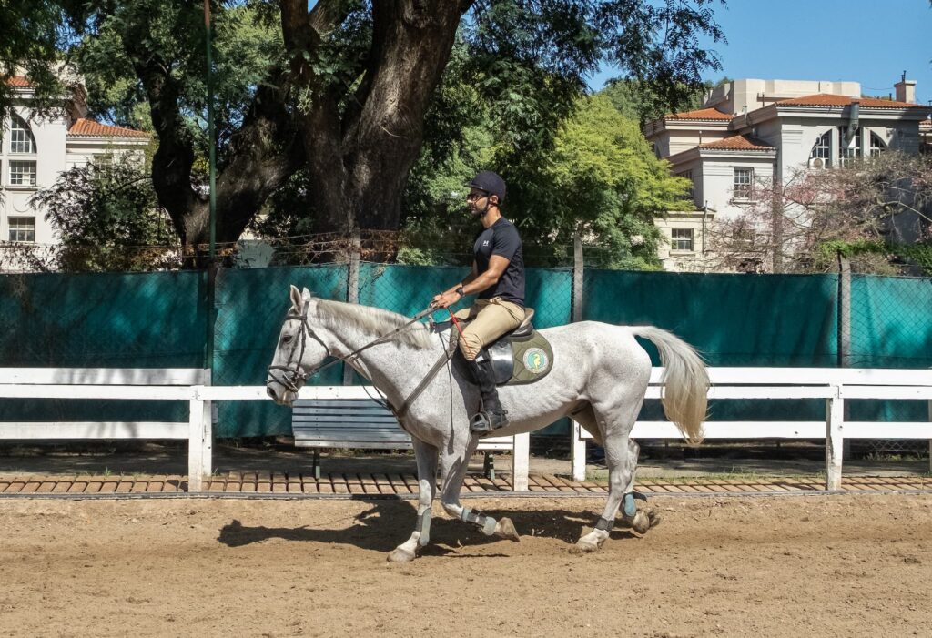 Horse Review Capitan and Dana Riding