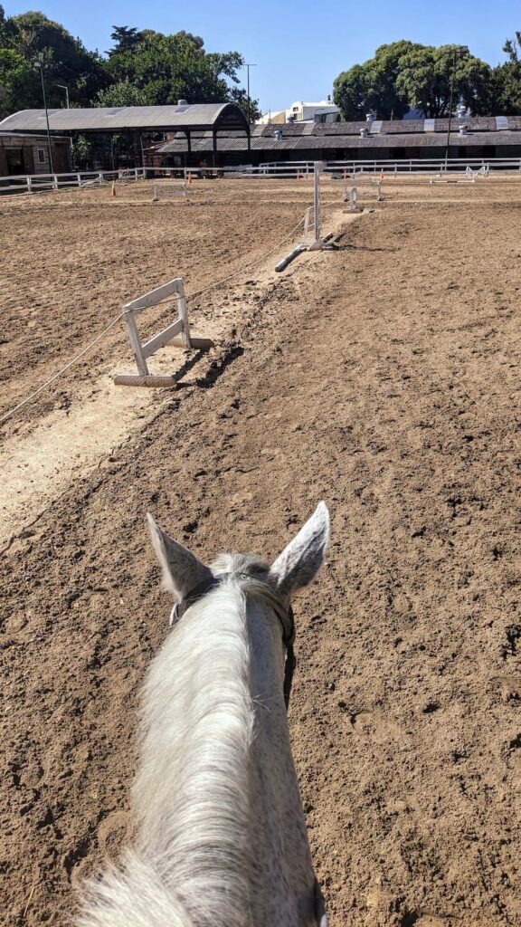 Riding a horse POV view