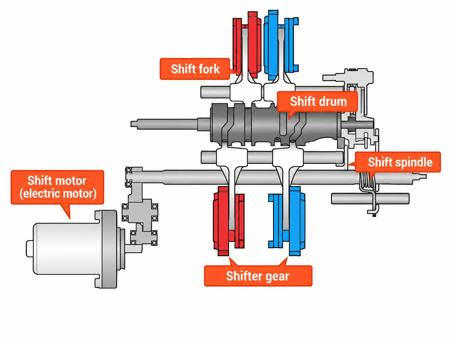 Automatic Motorcycle Transmissions Compared: DCT, AMT, E-Clutch and More 10 Honda DCT schematic labelling the shift motor, shifter gears, spindle, drum and shift forks
